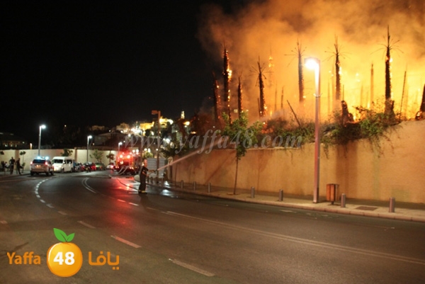 fire minas2 sterer (11).JPG